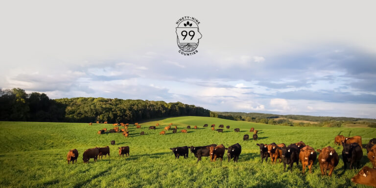 99 Counties