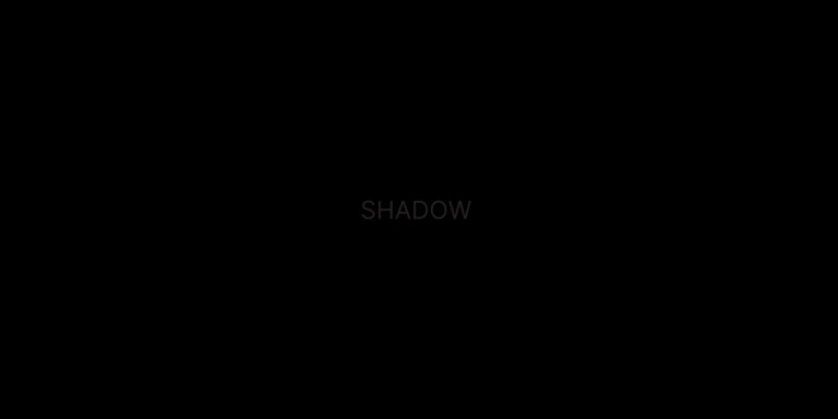 Shadow Investment